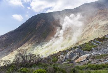 大涌谷+芦之湖+箱根神社+雕刻之森美术馆一日游【包车游】【[当地中文司导，行程可调]】