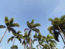 大亚湾-惠州-gz当地向导伊妹儿