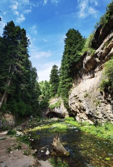 阿坝州纳摩大峡谷-若尔盖-爱喝茶的辰琪哥