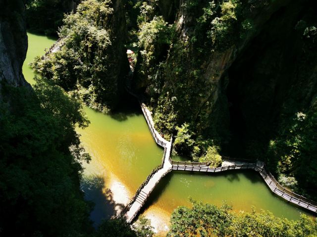 洒金公园旅行图片 4