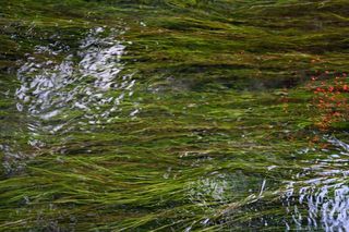 丽江旅行的惊喜不断——在束河古镇享受惬意的慢生活