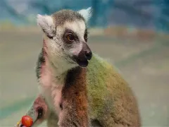 佳木斯2日遊:山峰與公園