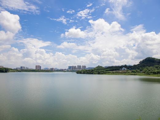 立新湖公园