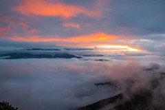 宝兴游记图片] 脚踏云海，手摘星辰，一起去看达瓦更扎清晨云顶上的第一束光吧！