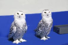 海滨城浩海立方海洋公园-成都-C-IMAGE