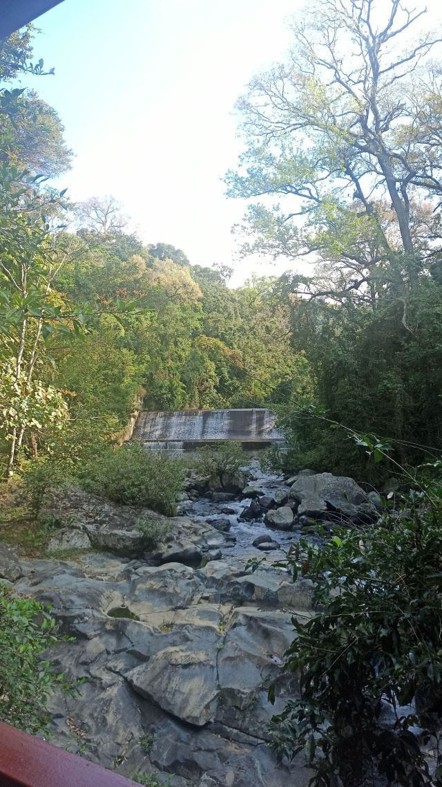 海南热带雨林国家公园五指山景区旅行图片 6
