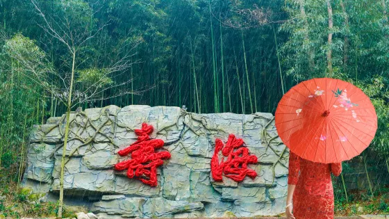 百里竹海-壽海景區