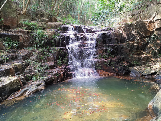 花都七溪地:四百种香植上亿株,八公里香境千百年