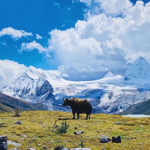 Nagqu