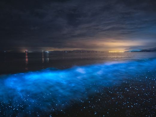 官湖沙滩