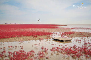 十月最佳目的地(盘锦,本溪,沈阳)
