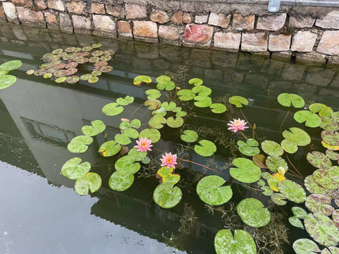 阿尔卡迪亚国际度假酒店主图