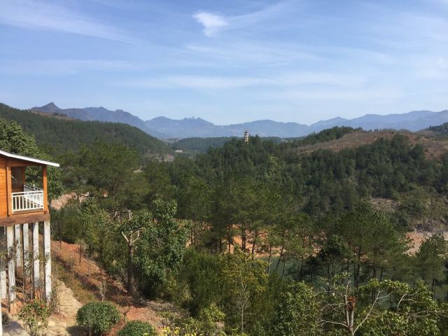 仙霞湖旅行图片 3