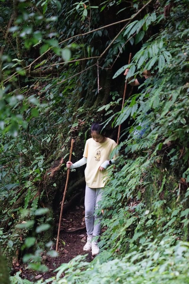 高黎贡山中坪大瀑布旅行图片 10