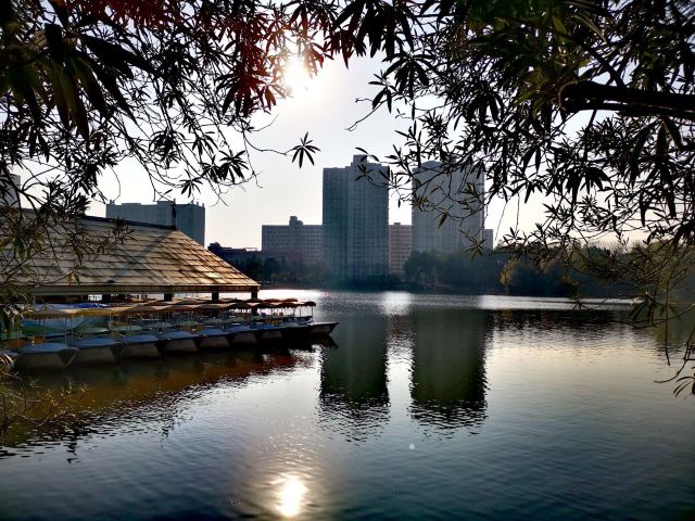 黄兴公园旅行图片 5