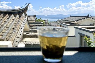 有一种白日梦，叫躺平在大理