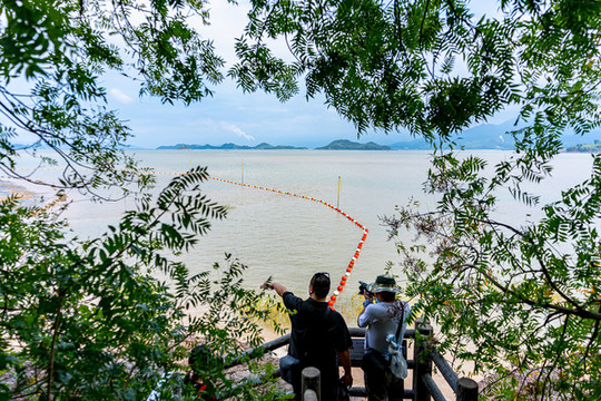 宁海花式旅行/做岛主/出海捕鱼/游古镇/吃美食