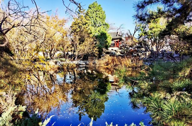 宣武艺园旅行图片 2