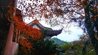 在江苏的“绿林仙海”中，寻找侠气与柔情