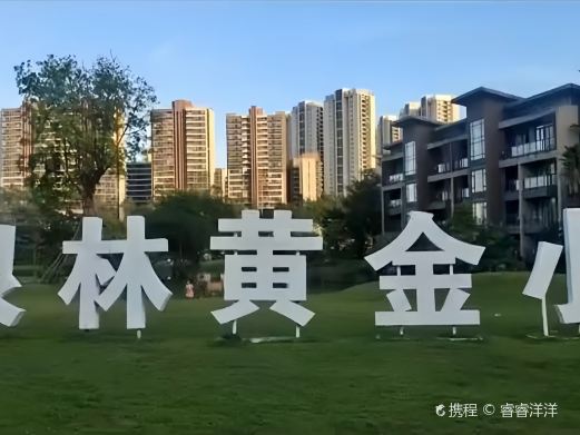 泉林黄金小镇