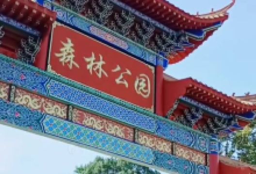 森林公园景点图片