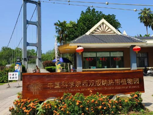 中国科学院西双版纳热带植物园-藤本园站