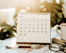 Best Time to Visit