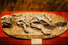 河源恐龙博物馆-河源