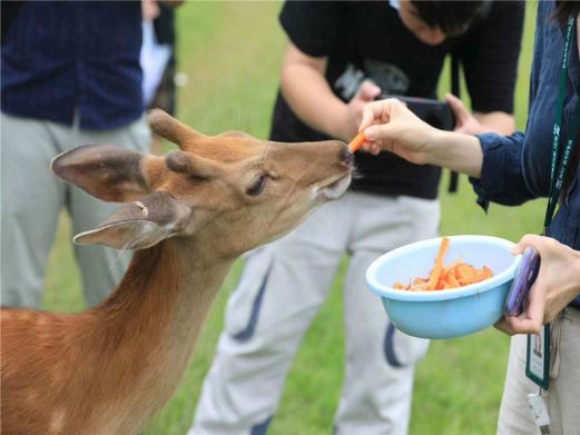 长生鹿苑