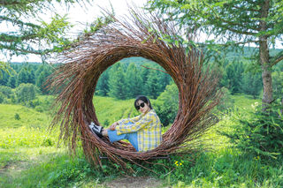 自驾游承德丰宁坝上，寻找秘境之地“七彩森林”