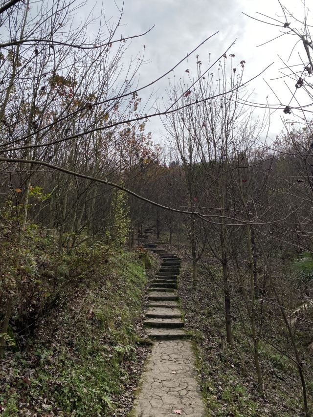 川西红枫岭旅行图片 9