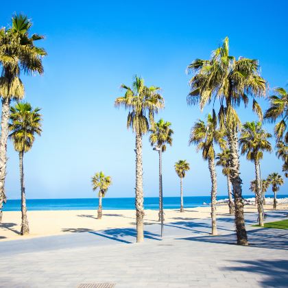 西班牙+葡萄牙+马德里+巴塞罗那+龙达+里斯本+波尔图+瓦伦西亚17日16晚私家团