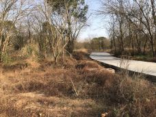 墨潭桃花岛-吉水-YoYo_8D9I1D3A