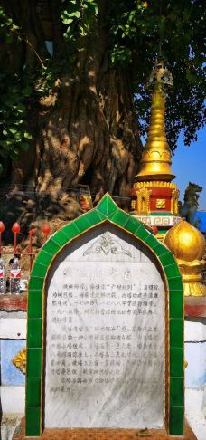 树包塔-芒市-逍遥糊涂仙1971