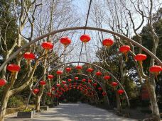 杨浦公园-上海-秒懂风景