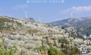 别人到建水逛古城,我们却去赏梨花,虽然有遗憾,但是很值得