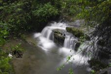 黑山谷风景区-重庆-起风了、、、
