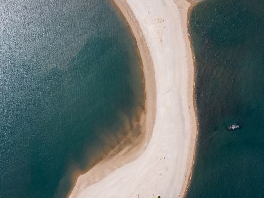 触角沙滩