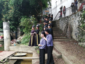 平果游记图文-平果壮族嘹歌是两男和两女的对唱，都有高低音双声部，美美的