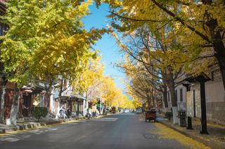 与他一起相约大理丨共渡一场风花雪月