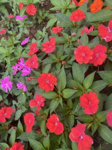 宝海公园-昆明-天空中的海绵