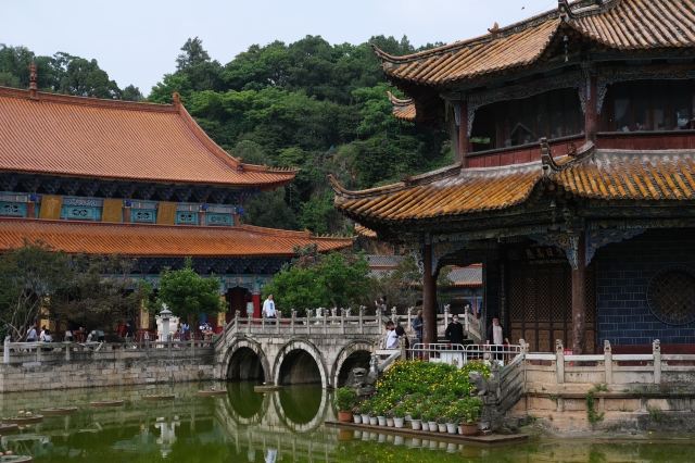 圆通禅寺旅行图片 2