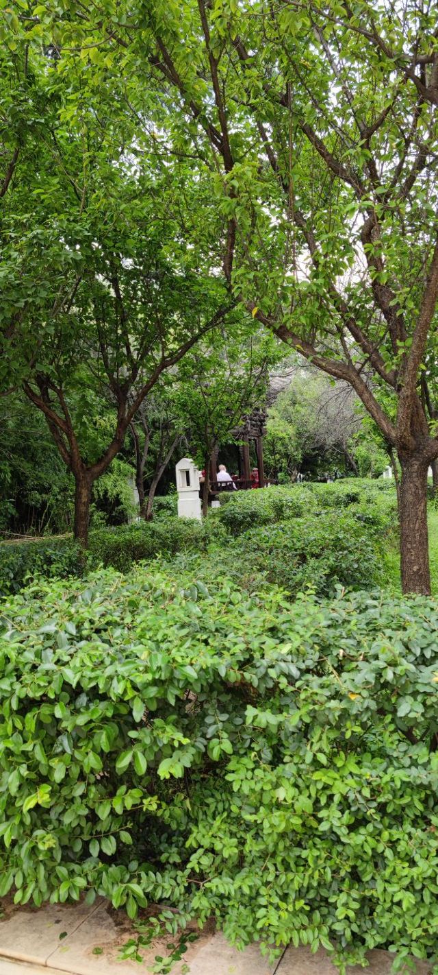 惠光寺塔旅行图片 4