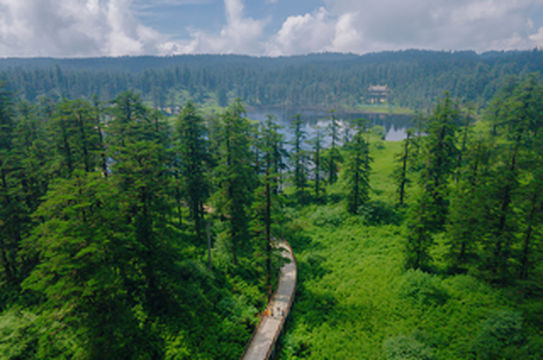盛夏里16℃的流动盛宴|瓦屋山之旅