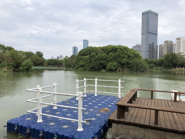 艾溪湖森林湿地公园旅行图片 5