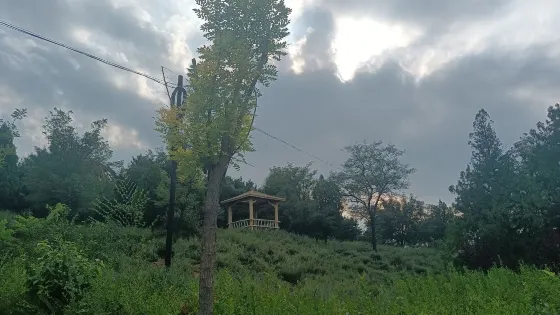 嶷神嶺