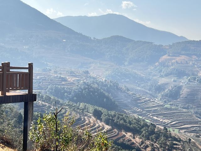 新山梯田旅行图片 4