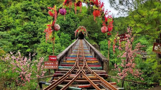 尤溪武洋花天下