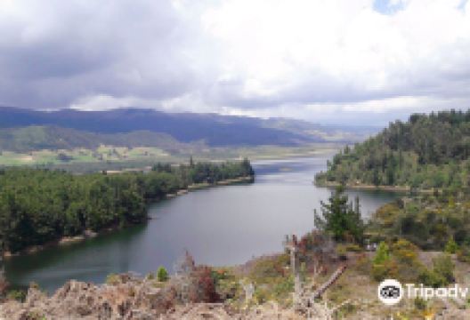 Embalse del Neusa景点图片