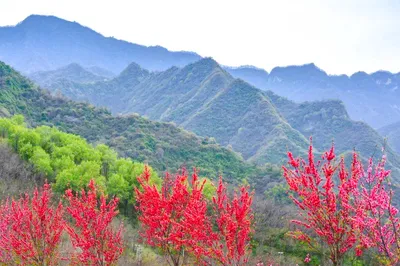 秦岭山脉